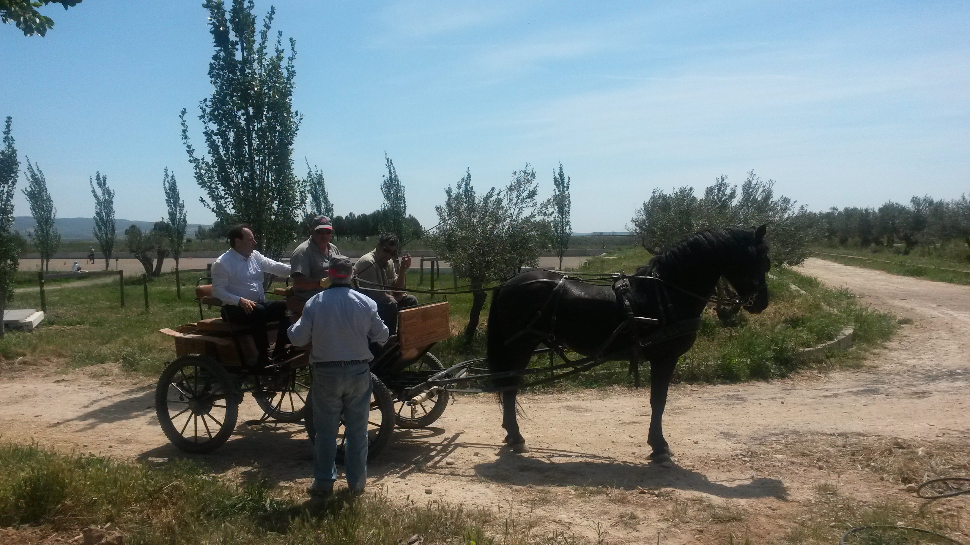 Clínic de actualización y perfeccionamiento en Enganches impartido por Juan Esteve en el Club Hípico La Pinturita de Olite